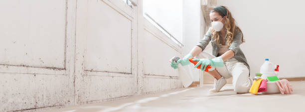 Why You Should Choose Our Mold Remediation Services in Granby, CO